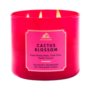 Cactus Blossom - Vela Grande