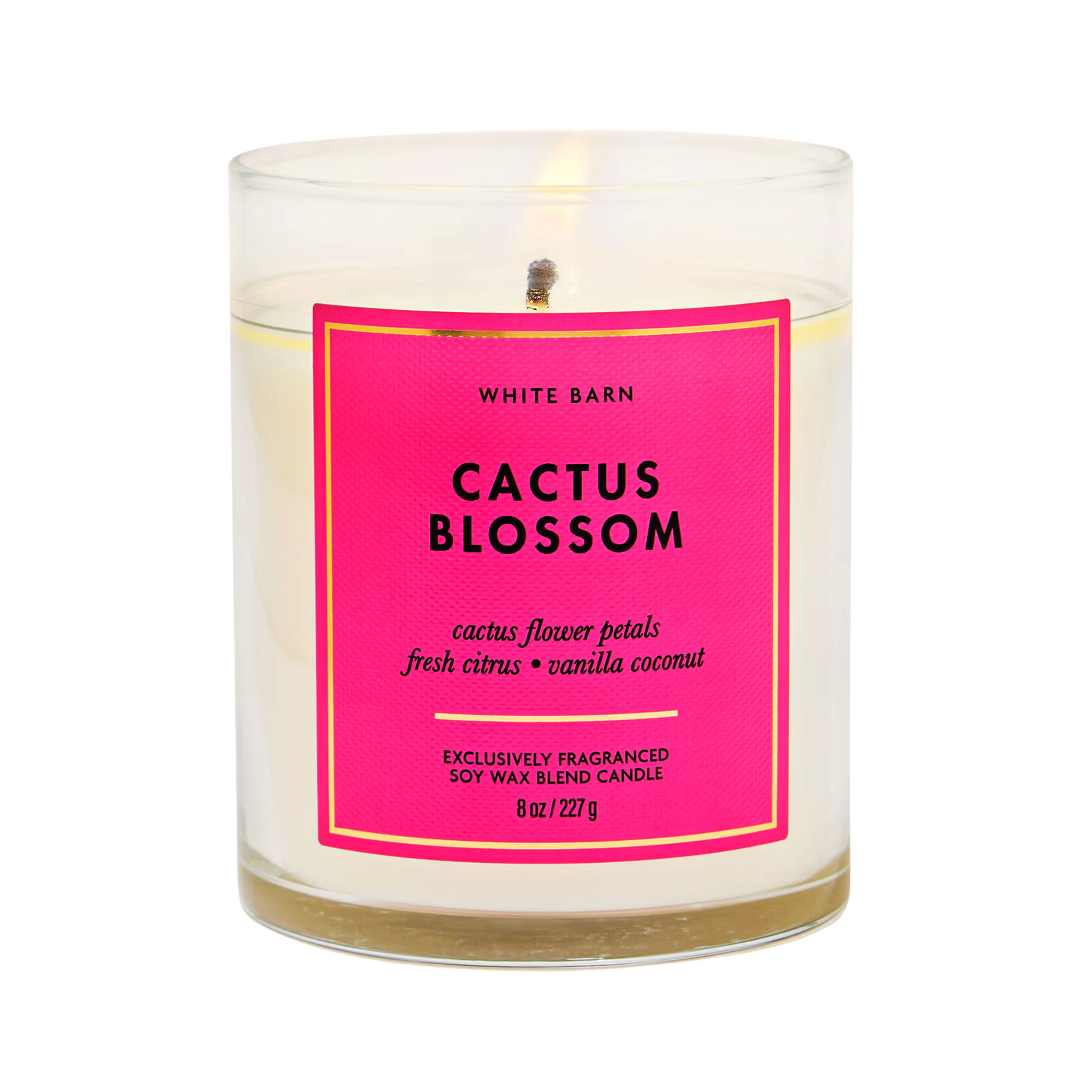 Cactus Blossom - Vela mediana