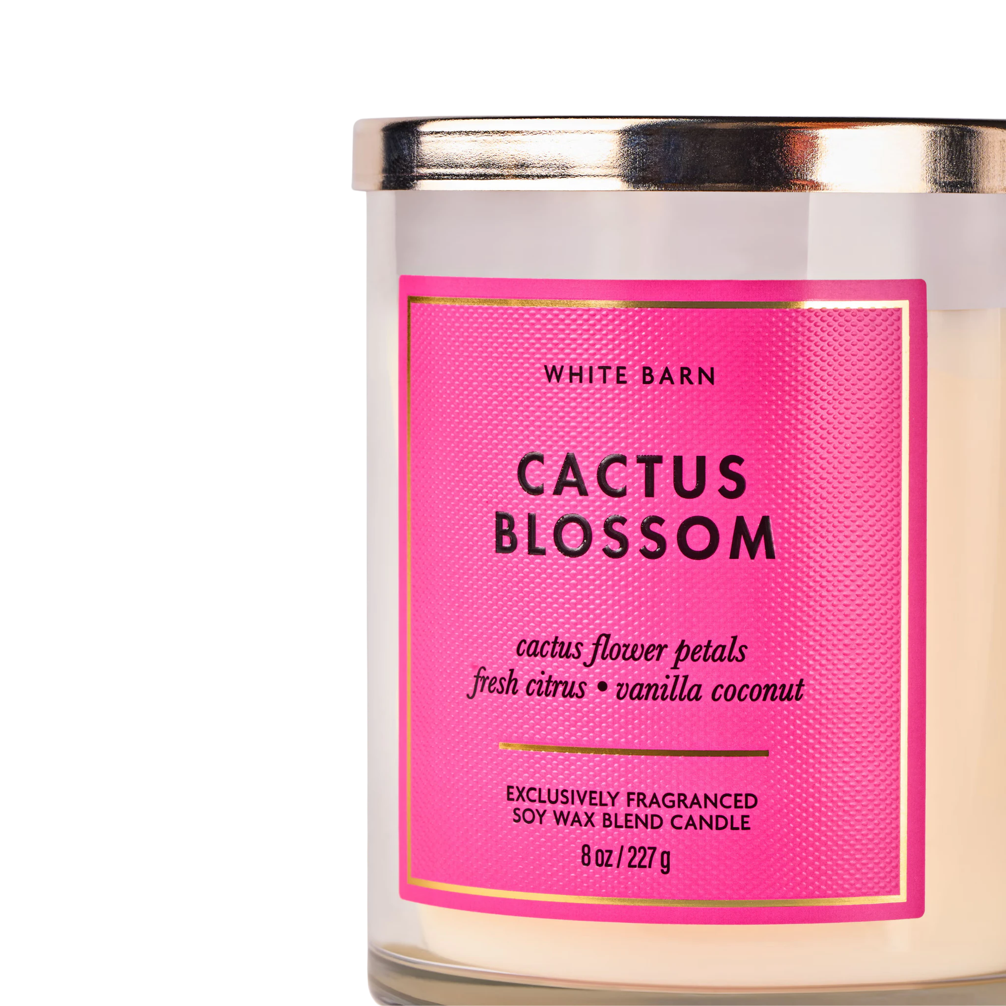 Cactus Blossom - Vela mediana