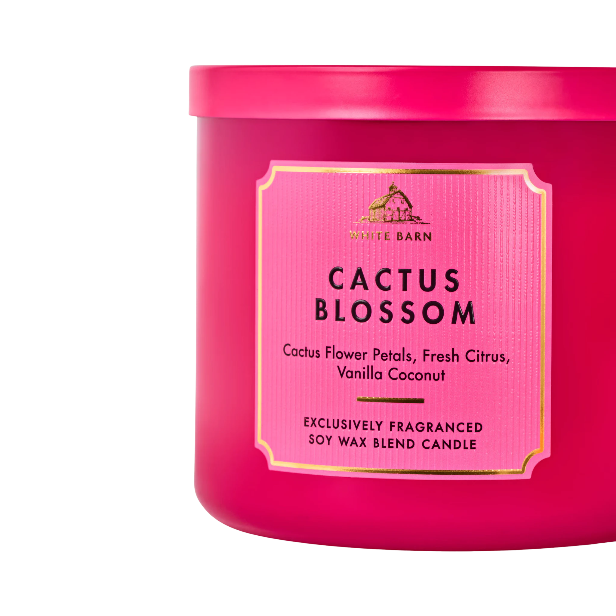 Cactus Blossom - Vela Grande