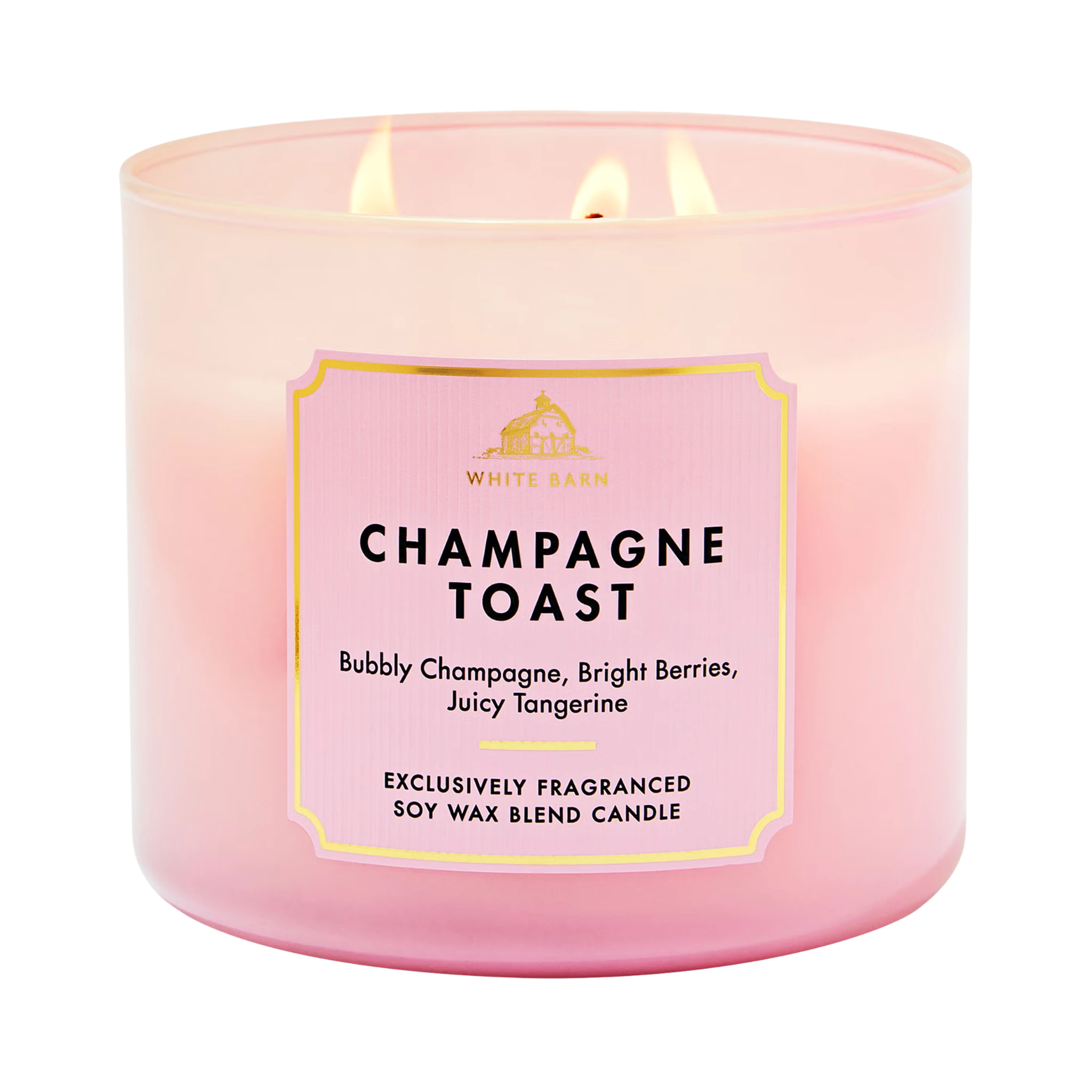 Champagne Toast - Vela Grande