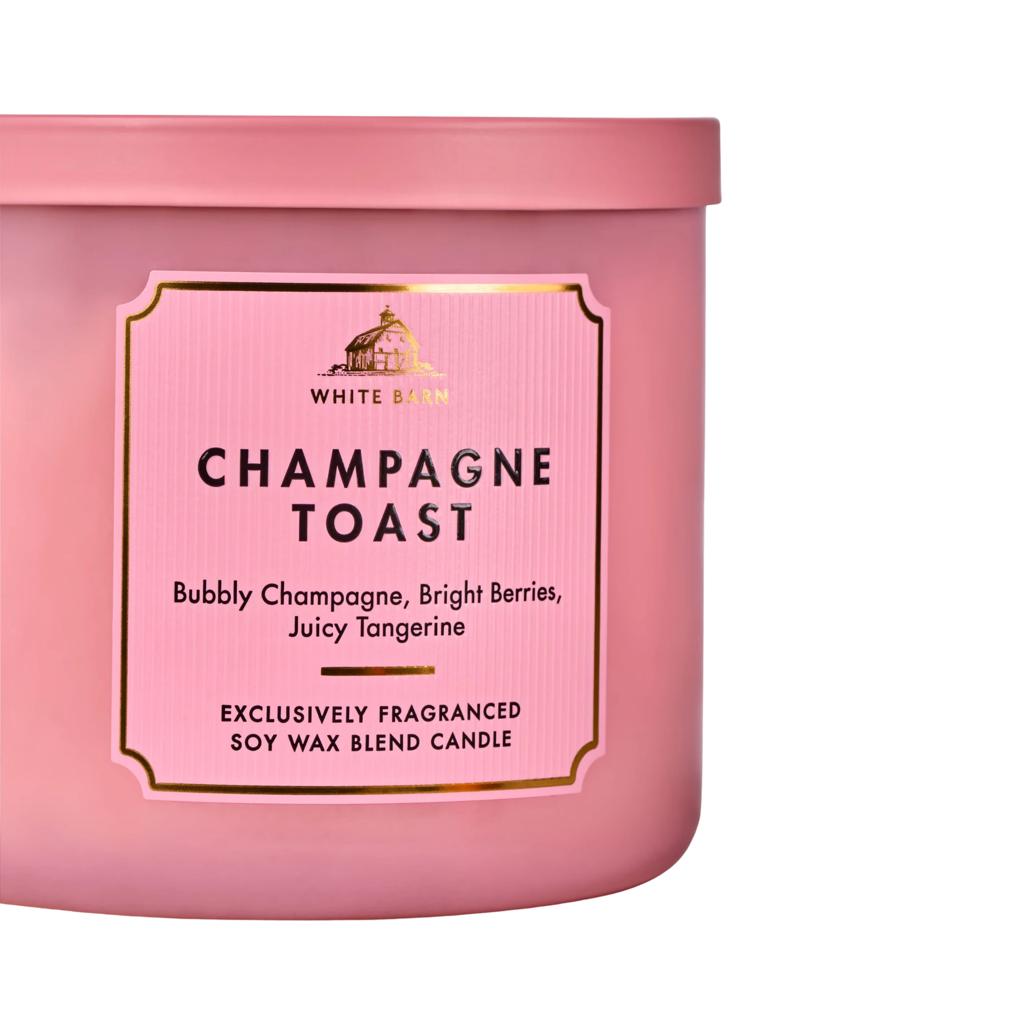 Champagne Toast - Vela Grande