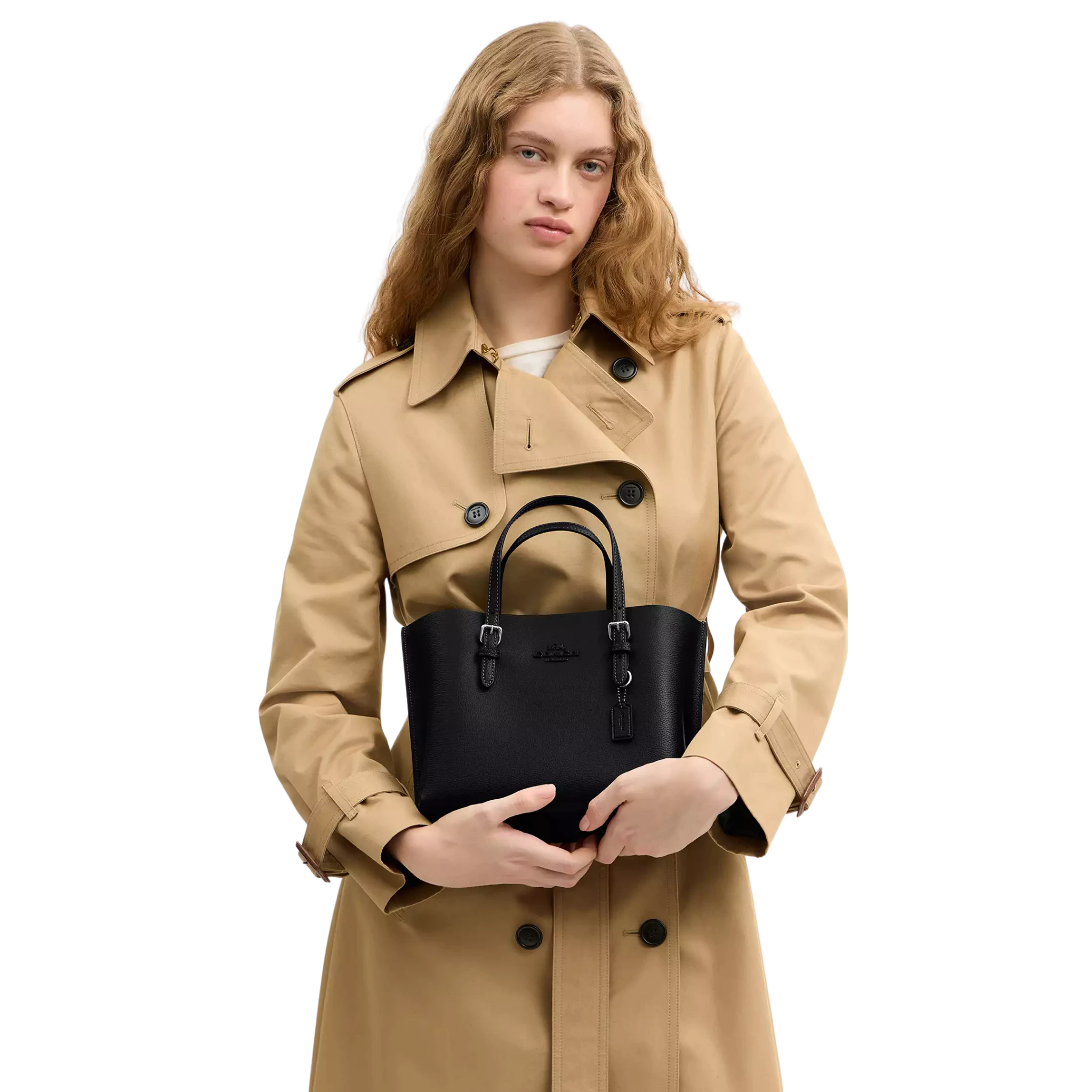 Bolsa Coach Mollie Tote Bag 25