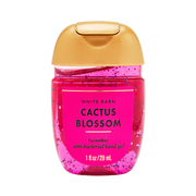 Cactus Blossom - Antibacterial