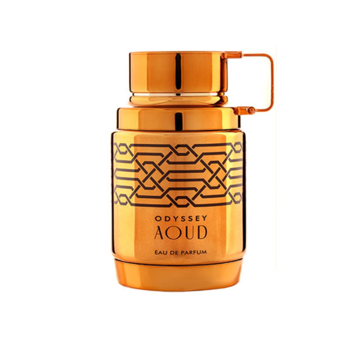 Perfume, Armaf Odyssey Aoud, Eau de Parfum, 100 ml para Hombre