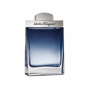 Perfume, Ferragamo Subtil Pour Homme, Eau de Toilette, 100 ml para Hombre